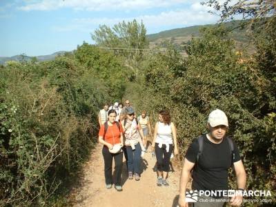 hayedos y pueblo abandonado de Turza; madrid rutas; excursiones programadas